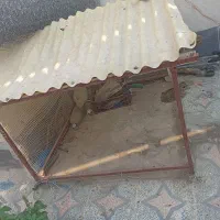 قفس پرنده|لوازم جانبی حیوانات|دوگنبدان, |دیوار