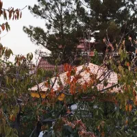 گلبهارباغشهر۱ معاوضه باآپارتمان مشهد.