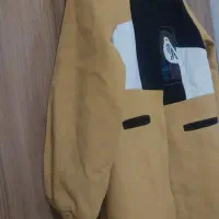 پالتودرحدنو