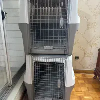 باکس سگ