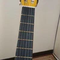 گیتار golden cup|گیتار، بیس، امپلیفایر|شاهین‌شهر, فردوسی|دیوار