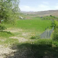 زمین کشاورزی به مساحت 2511 متر با سند تک برگی|فروش زمین و ملک کلنگی|فیروزکوه, |دیوار