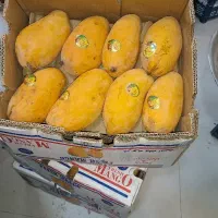 کارگر میوه فروشی