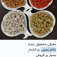 پخش عمده بادوم روکش دار ،برندهای چیلدا،چوپی،ولوپی،|عمده‌فروشی|اندیشه, شهرک مریم|دیوار