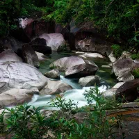 مخمل کوه با تمامی خدمات