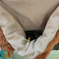 مرغ مینا ماده