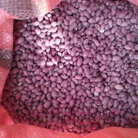 لوبیا قرمز فروشی ۱۰تن|عمدهفروشی|قروه, |دیوار