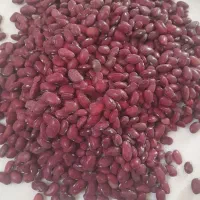 لوبیا قرمز یک دست