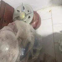 پیک نیک نو تو کارتن