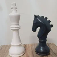 شاه و اسب شطرنج دکوری
