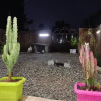 باغچه ۱۷۰متری سنددار شهر ری با بنا ونقدیا معاوضه|فروش زمین و ملک کلنگی|ری, فیروزآباد|دیوار