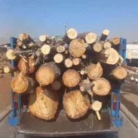 خریدار چوب چنار وکاج گردو تنه زیر پالت|عمده‌فروشی|تهران, دولتخواه جنوبی|دیوار