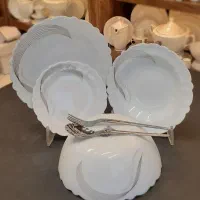 انواع آرکوپال کف گل طرح چینی|ظروف سرو و پذیرایی|نیشابور, شریعتی|دیوار