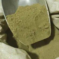 کارشناس تحقیق و توسعه (R&D)