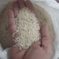 برنج طارم هاشمی|خوردنی و آشامیدنی|گرگان, |دیوار