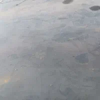 ضامن میخوام