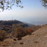 فروش-زمین