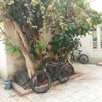 اتاق اختصاصی آقایان در بزرگمهر (خوابگاه نیست)