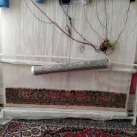 دارقالی با نخ نقشه همه چیز تکمیل مقداری بافت شده|فرش|اسدآباد, |دیوار