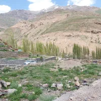 زمین-فروشی