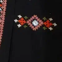 دوچگر پلیوار هستم