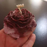 شمع آلاله|صنایع دستی و سایر لوازم تزئینی|کلاردشت, |دیوار