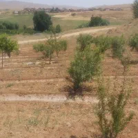 باغ ۱۰۰۰ متری در فریدونشهر