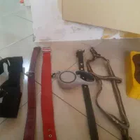 قلاده سگ بزرگ و کوچک
