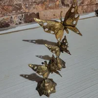 برنز پروانه