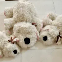 فروش سه تا عروسک کاملا نو