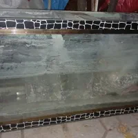 آکواریوم