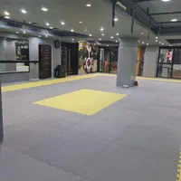 تخصصی ترین آکادمی آموزش تکواندو در استان البرز