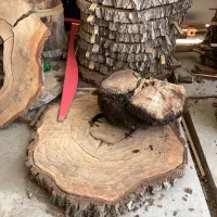 اسلب تخته کالباسی چوب