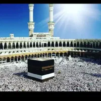 یک عدد فیش الویت اعزام۵۱۳