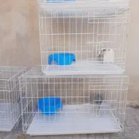 چهار عدد جفت کن کبوتر