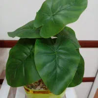 گل مصنوعی، گلدان تزیینی، هدیه روز مادر و زن|گل مصنوعی|تهران, اسفندیاری|دیوار