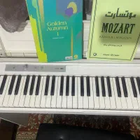 پیانو دیجیتال|پیانو، کیبورد، آکاردئون|تهران, دردشت|دیوار