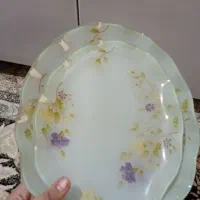 دیس ارکوپال|سرویس روتختی|مشهد, توس (بلوار توس)|دیوار