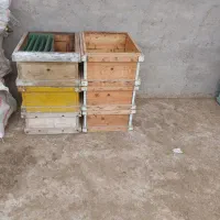 کندو زنبور عسل