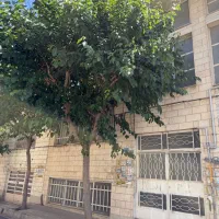 فروش ویلایی ۲۷۰ متری در ۲ طبقه تاپ لوکیشن منطقه