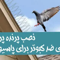 راپل(دسترسی طناب) پیچ رولپلاک ، رنگ آمیزی، شستشو|خدمات پیشه و مهارت|تهران, بریانک|دیوار