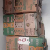 کارتون جا موز