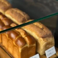 درخواست نیرو برای کافه تارت