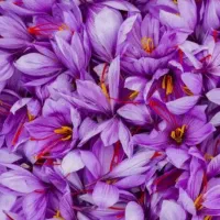 گل پاک میکنم