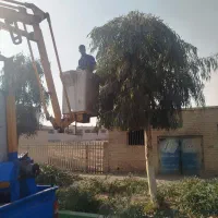 هرس.باغبانی