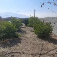 فروش باغشهری بهارستان جهرم