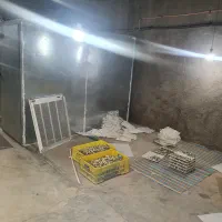 نیرو برای سالن پرورش کبک|استخدام صنعتی، فنی، مهندسی|یزد, |دیوار