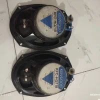 ضبط و باند وآمپیلی
