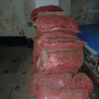 سیب زمینی مناسب خوراک ودام