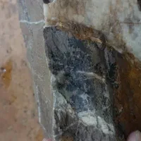 سنگ شجر|کلکسیون اشیاء عتیقه|خوی, |دیوار